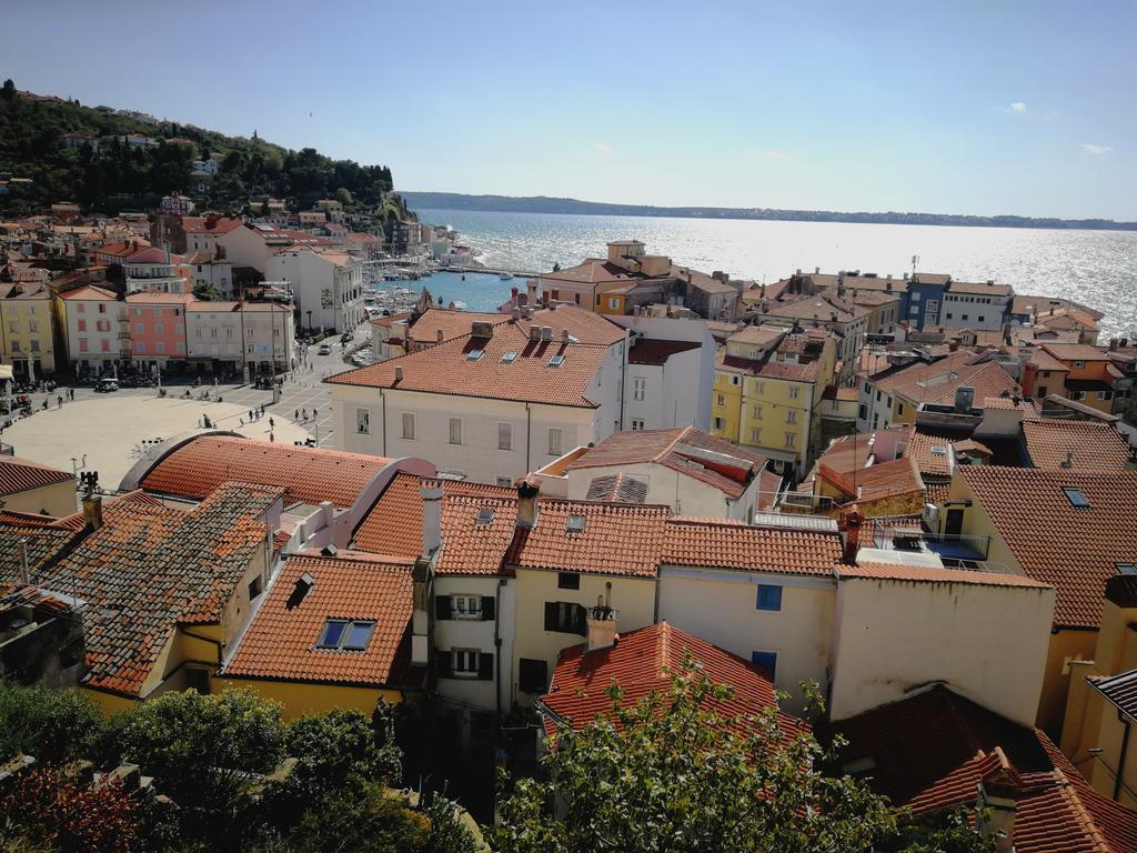 Punta Piran
